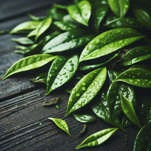 Le-Thé-Un-Elixir-pour-le-cerveau LES SORCIERS